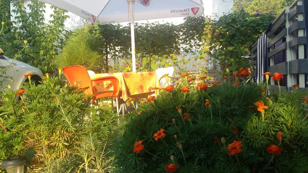 Aparthotel Vila Tufi Velipojë Quarto foto